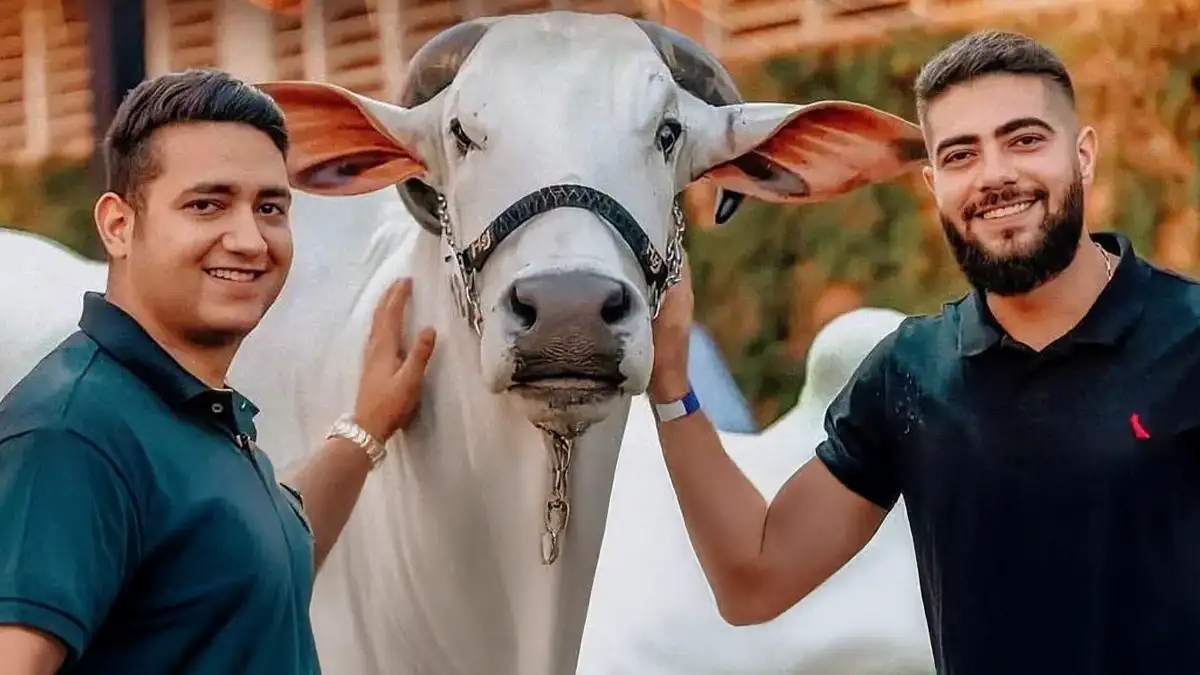 Conheça a fazenda milionária de Henrique e Juliano