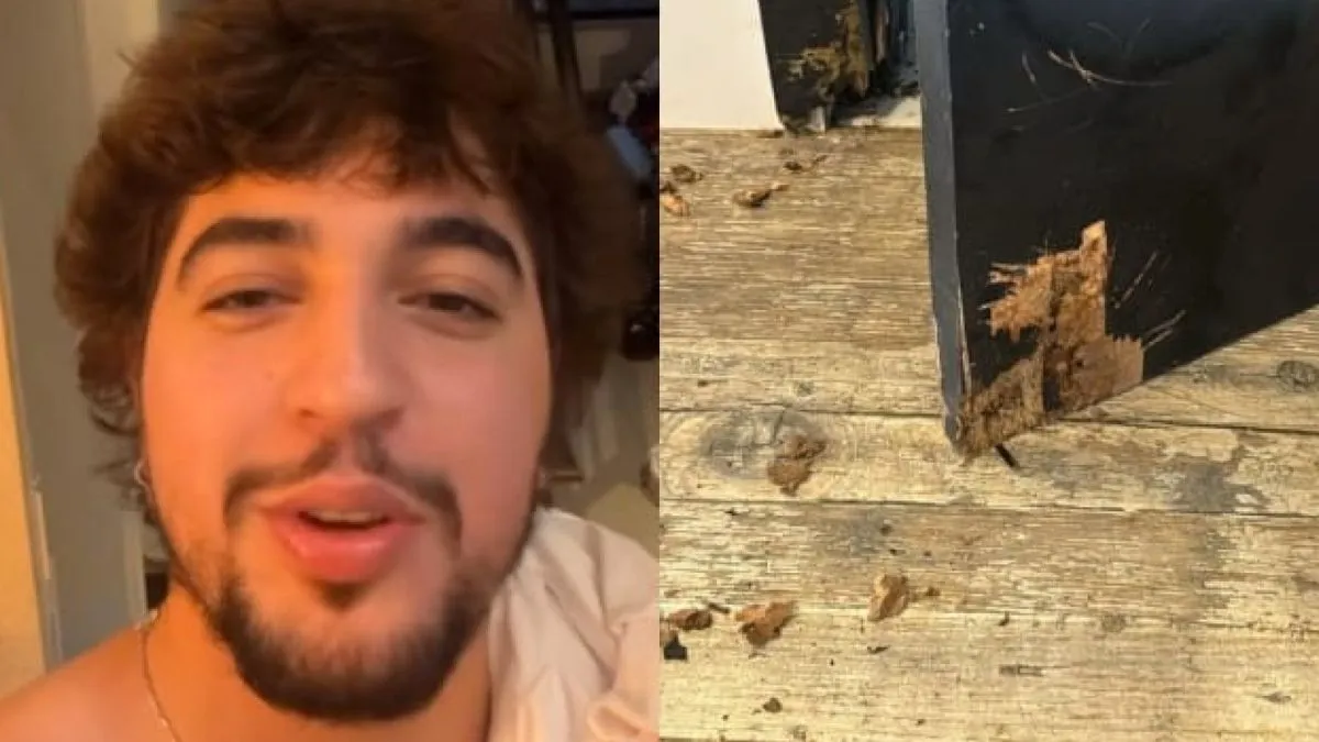 Cachorros de Nattan destroem mansão de Henrique após ‘sequestro’