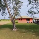 Quem é o mais rico: Bruno ou Marrone? Um deles tem fazenda espetacular!