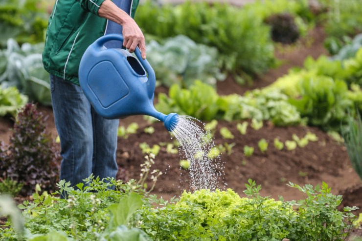 CBA 2025: impactos globais e tecnológicos na produção de alimentos