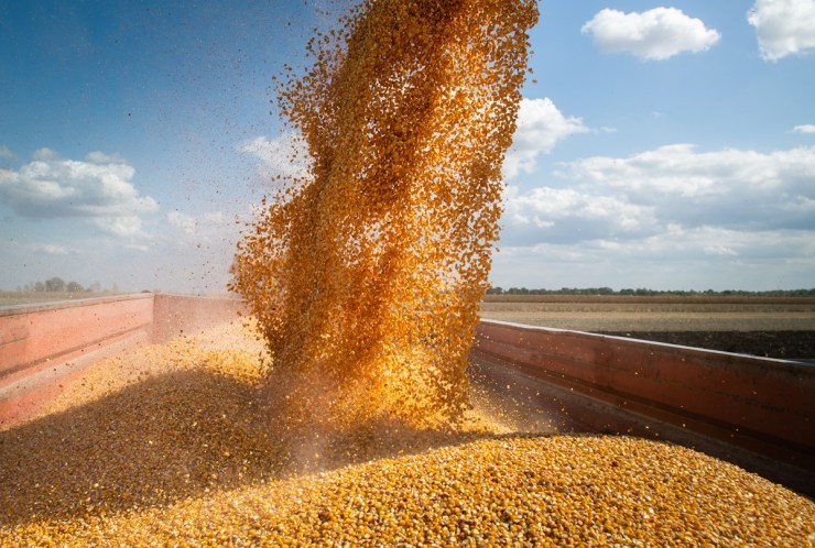 Agropecuários: alta acumulada de 18% no primeiro semestre.