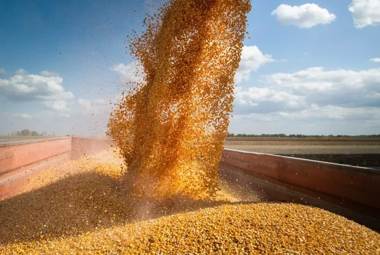 Agropecuários: alta acumulada de 18% no primeiro semestre.