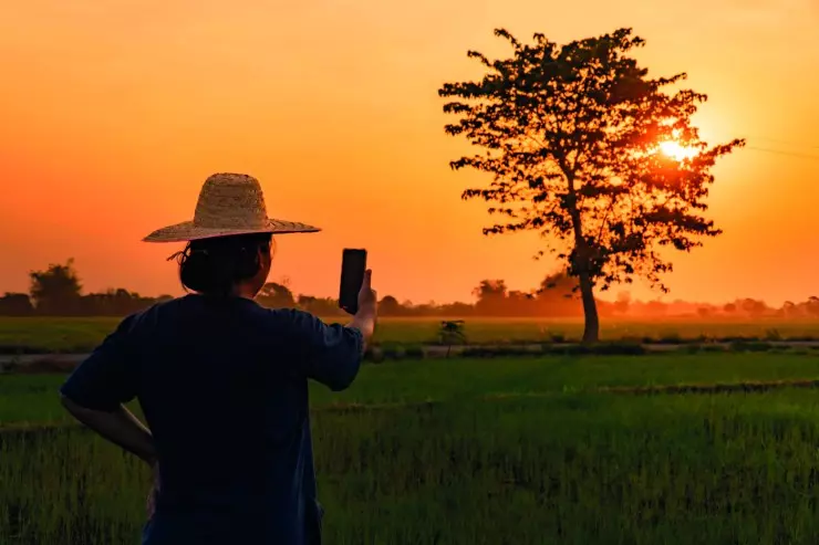 Seguro rural e tecnologia: alicerces do agro futuro – O Presente Rural