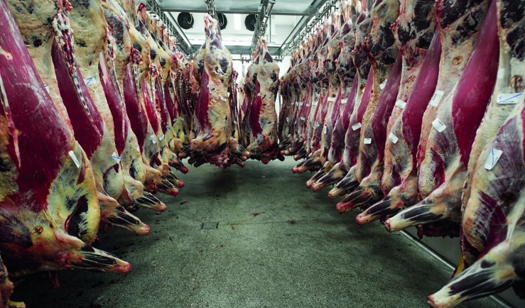 Tarifa dos EUA ameaça US$ 1,5 bilhão em exportações do agro paranaense