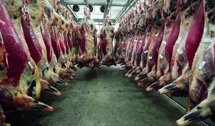 Tarifa dos EUA ameaça US$ 1,5 bilhão em exportações do agro paranaense