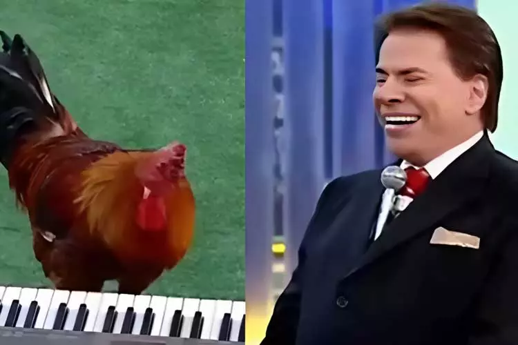 Patrícia Abravanel recorda Silvio Santos: ‘Ele faz falta’