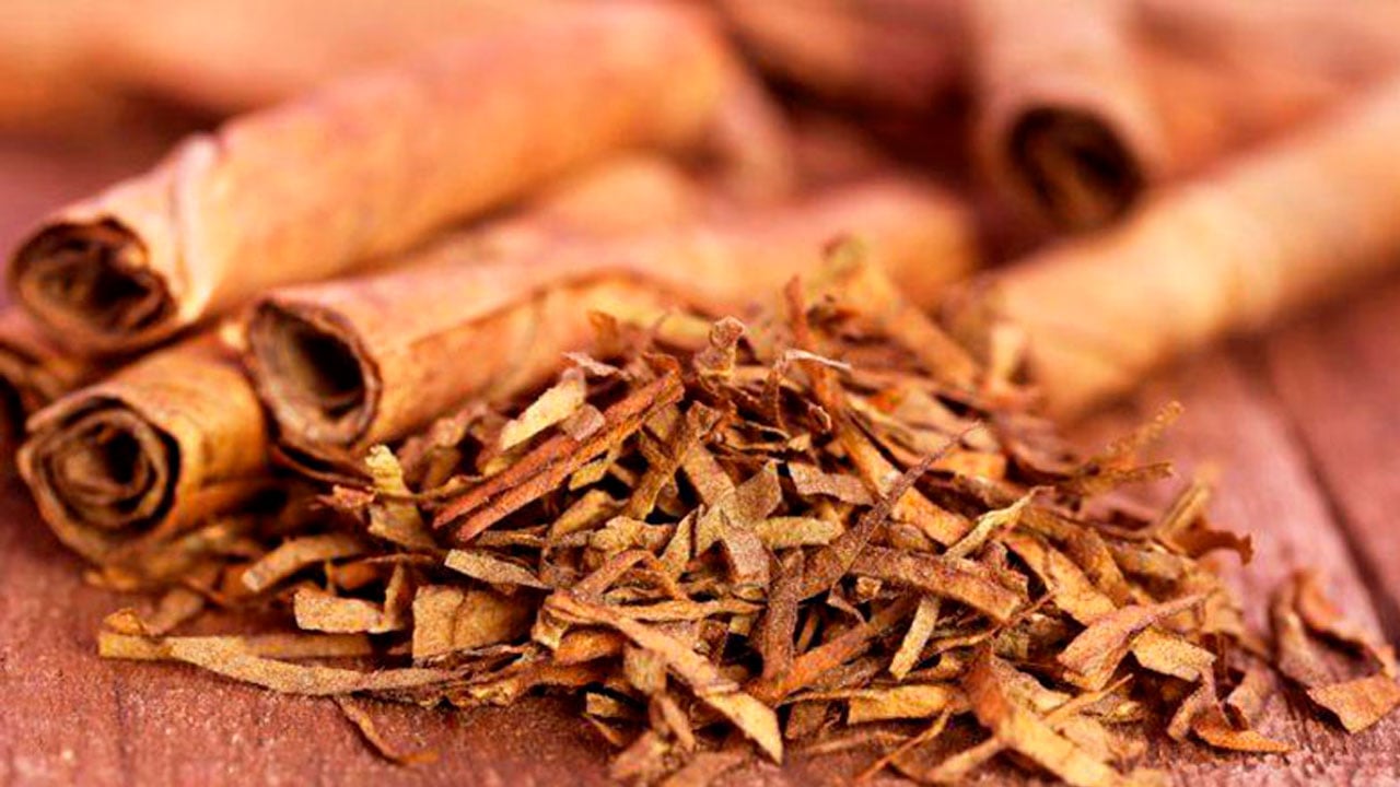 Amprotabaco Defende Setor em Audiência em Santa Catarina