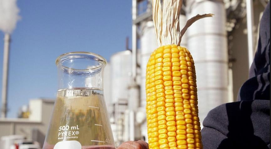 Cereal mais barato: novas vantagens com custos em alta da cana