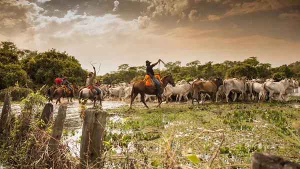 Pantanal, Turismo Rural
