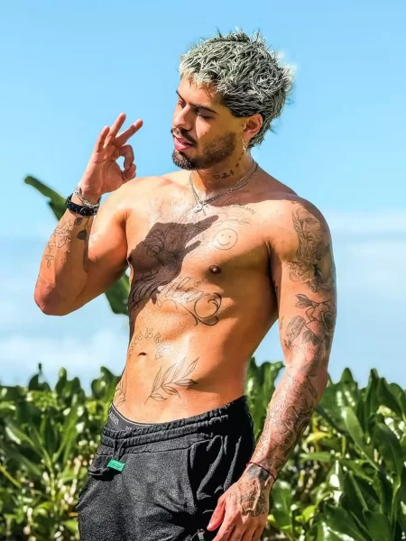 Zé Felipe (Foto: redes sociais)